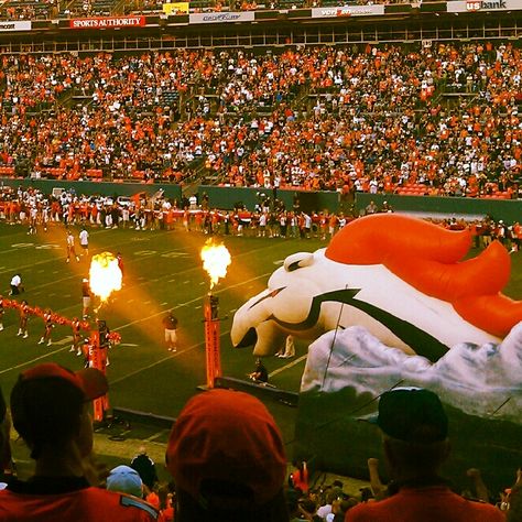 Does your Heaven on Earth include a Broncos game??? Denver Broncos Aesthetic, Couples Costume Ideas, Denver Broncos Baby, Denver Bronco, Football Crafts, Go Broncos, Denver Broncos Football, Bleed Blue, Couples Costume