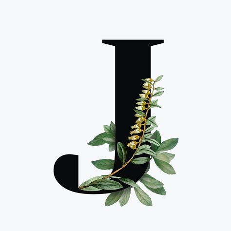 Botanical capital letter J vector | free image by rawpixel.com / Aum J Font, Botanical Letters, N Letter Design, Botanical Capital Letter, J Letter Images, Letters J, J Letter, Alfabet Font, Capital Alphabet