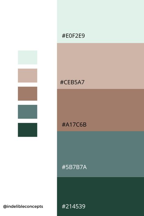 Mint And Brown Living Room, Mint Green Brown Color Palette, Dark Green Beige Bedroom, Light Mint Color Palette, Light Green Pallet, Green Pallete Aesthetic, Color Palette Mint Green, Mint Green Colour Palette, Mint Color Combinations