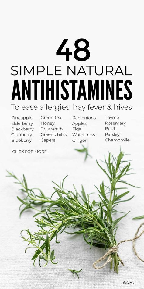 Build these 48 simple natural antihistamines into your diet to help ease and relieve allergies such as hayfever and allergy symptoms including runny noses, watering eyes and hives. #anthistamines #naturalantihistamines #allergyrelief #naturalallergyrelief Sinus Inflammation, Natural Antihistamine, Natural Allergy Relief, Magia Das Ervas, Natural Healing Remedies, Allergy Relief, Home Health Remedies, Herbs For Health, Allergy Symptoms