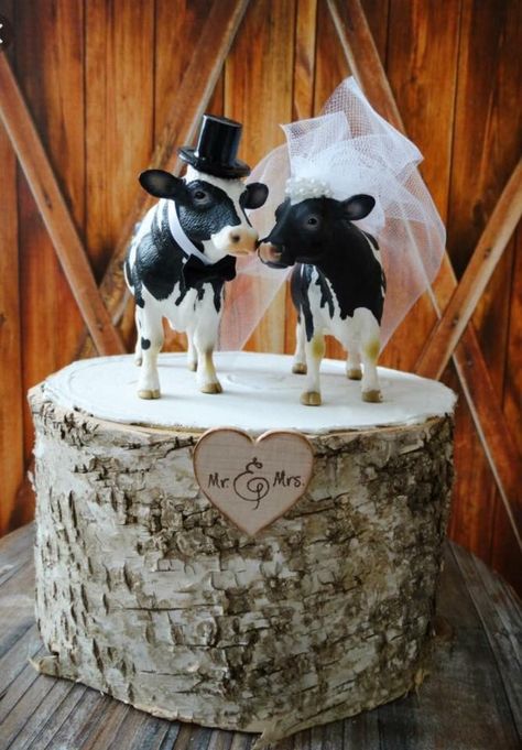 Cow Wedding, Dairy Farm Wedding, Farmer Wedding, Western Wedding Cakes, Wedding Pieces, Cow Cake, Sweet Cow, Cow Cakes, Country Western Wedding