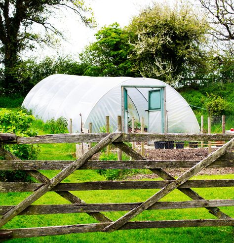 Small Holding, Big Challenges, Country Living Uk, Luxury Wedding Decor, Food Security, Sustainable Food, Growing Food, Simple Living, Country Living