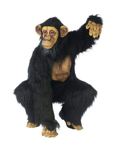 Chimpanzee Complete Adult Costume | Room 6, The Menagerie. The Craw and Loupe All Hallows E'en Odditorium and Little Big Top Circus, The Clowns Are Revolting! Gorilla Costume, Gorilla Costumes, Gorilla Suit, Monkey Costumes, Mardi Gras Costumes, Animal Costumes, Pet Monkey, A Monkey, Carnival Costumes