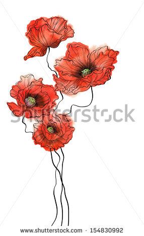 Poppy Flower Drawing Tattoo, Watercolor Poppy Flower Tattoo, Draw Poppies, Poppies Botanical Illustration, Red Poppy Watercolor Tattoo, Poppy Flower Botanical Illustration, Line Art Projects, Poppy Watercolor, Poppies Flower