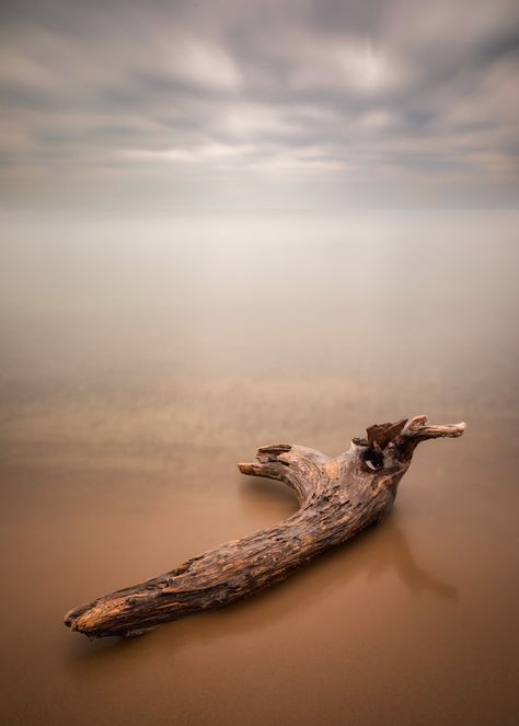 Driftwood Driftwood Aesthetic, Fantasy Landscape, Beach Sunset, Ocean Waves, Cottage, Animals, Beauty, Quick Saves, Nature