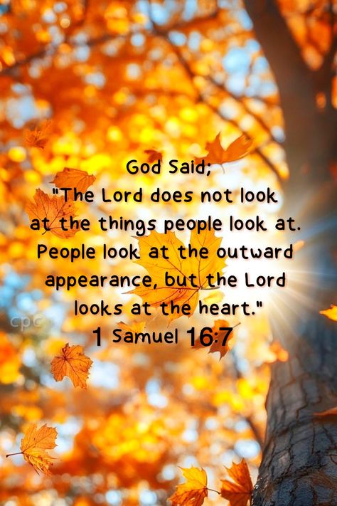 Samuel Scripture, 1st Samuel, Encouraging Scripture Quotes, Morning Scripture, Autumn Blessings, God's Timing, Memory Verses, Bible Verse Background, Scenic Pictures