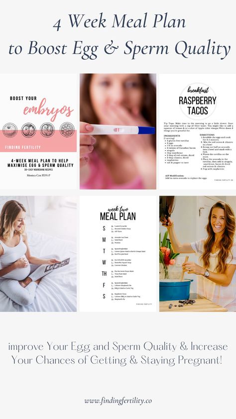 Meal Plan For Fertility, Keto Fertility Diet, Diet Meal Plan To Get Pregnant, Egg Quality Fertility Improve Food, Meals To Help With Fertility, Ttc Diet Plan, Egg Quality Diet, Improve Egg Quality, Egg Quality Fertility Improve