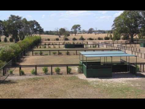 Horse Pasture Shelter, Minecraft Horse Stables, Homestead Plans, Pasture Shelter, Cattle Gate, Horse Shelters, Dream Barn Stables, Equestrian Barns, Horse Paddock