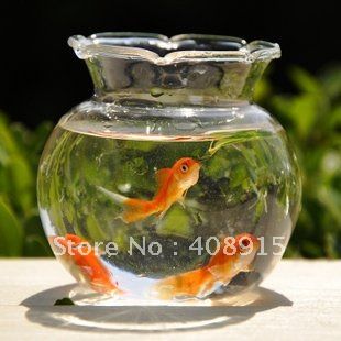 Mini Vase, Mini Aquarium, Fish Tank Dia75xH70mm, Glass Clear Fish Jar, Fish Bowl, 4pcs/ lot, free shipping-in Vases from Home & Garden on Aliexpress.com Fish Bowl Decorations, Round Fish Tank, Goldfish Aquarium, Pet Goldfish, Glass Fish Bowl, Goldfish Tank, Mini Aquarium, Goldfish Bowl, Golden Fish