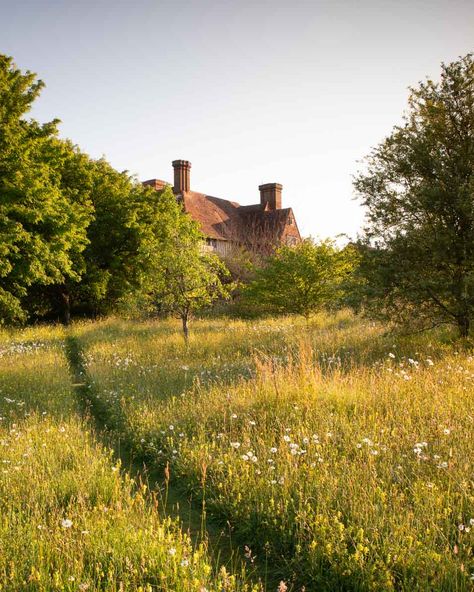 Happy #NationalMeadowsDay 🌱 Here's one of our favourite meadows at @GreatDixterofficial. Designing a meadow can be a fulfilling if challenging thing. But meadows are proven to support huge biodiversity and be excellent for pollinators. Even if you don't want to create a meadow in its entirety, or don't have the space for one, you can still bring a little sense of meadow to your plot, whatever its size.  © Richard Bloom Grantchester Meadows, Country Side Garden, Meadow Aesthetic, Field Garden, Country House Exterior, Meadow House, Great Dixter, Beautiful Meadow, Meadow Landscape