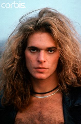 David Lee Roth, yes ladies there was time when he was hot, still one of the best front men that I had the privilege of seeing live. 80s Rock Hair, Alex Van Halen, David Lee Roth, Smash Or Pass, Michael Anthony, David Lee, Eddie Van Halen, Musica Rock, Glam Metal