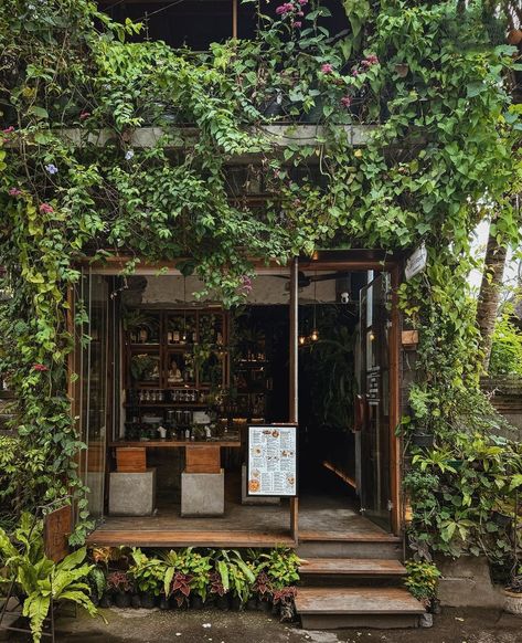 Plant Bakery Aesthetic, Cafe With Plants Interiors, Cafe And Plant Shop, Garden Coffee Shop Design Outdoor, Plant Cafe Interiors Coffee Shop, Cafe Aesthetic Exterior, Small Restaurant Exterior, Small Coffee Shop Design Outdoor, Cafe With Plants