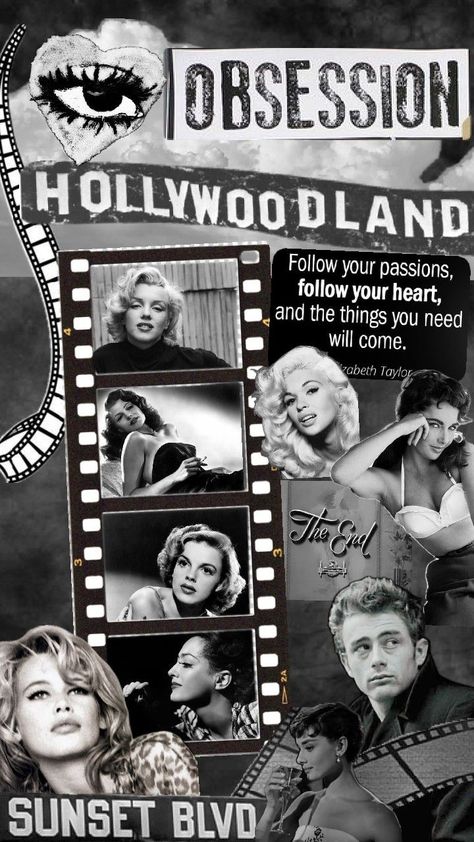 Old Hollywood 🎥 #oldhollywood #marilynmonroe #judygarland #jamesdean #joancrawford #ritahayworth #elizabethtaylor #jaynemansfield Jayne Mansfield, Star Family, Rita Hayworth, Judy Garland, Joan Crawford, James Dean, Follow Your Heart, Elizabeth Taylor, Hollywood Stars