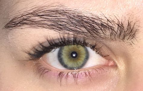 Central heterochromia and limbal ring Central Heterochromia, Grey Green Eyes, Heterochromia Eyes, Yellow Green Eyes, Limbal Ring, Different Types Of Eyes, Iris Eye, Hazel Green Eyes, Rare Eyes