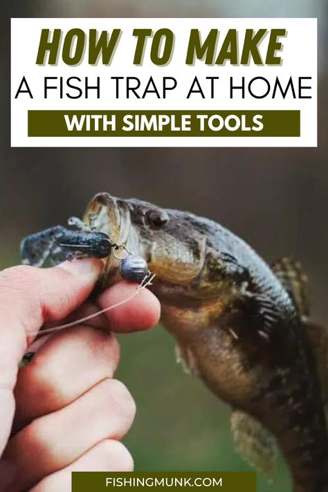 Learn How To Make A Fish Trap At Home With Simple Tools. Live bait is a popular and successful method for targeting predatory fish like pike and musky, as well as other species including trout, walleye, catfish, and bass. However, capturing live bait can be challenging. Avid anglers often use homemade fish traps as a solution, whether they need live bait for fishing, want to catch fish for survival purposes, or simply enjoy engaging in DIY projects. Catfish Trap, Bait For Fishing, Bait Bucket, How To Make Fish, Fish Trap, Fish Bait, Live Bait, Fishing Stuff, At Home Diy