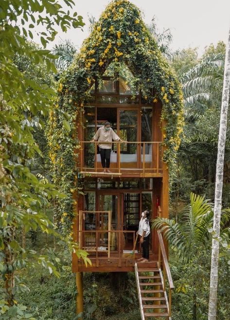 Treehouse Villas, Jungle Resort, Jungle House, Cool Tree Houses, House On Stilts, Tiny House Loft, Tree House Designs, Magic Treehouse, Cob House