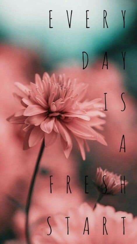 Inspirational Quotes Wallpapers, Phone Wallpaper Quotes, Pretty Phone Wallpaper, Wallpaper Iphone Quotes, Quote Backgrounds, A Fresh Start, Inspirational Wallpapers, Flower Phone Wallpaper, Pretty Wallpaper Iphone