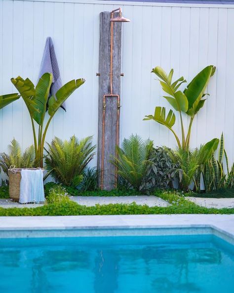 Tropical Planting, Strelitzia Nicolai, Outdoor Shower Diy, Outdoor Showers, Recycle Timber, Designer Store, Falling From The Sky, Backyard Garden Design, Front Yard Landscaping Design