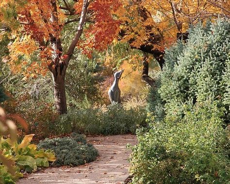 Red Butte Garden, Salt Lake City Downtown, Mountain Bike Tour, Car Tour, Garden Entrance, Most Beautiful Gardens, Salt Lake City Utah, Adventure Tours, Travel Sites