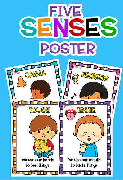 Five Senses Posters 5 Senses Preschool, 5 Senses Worksheet, Five Senses Worksheet, Five Senses Preschool, 5 Senses Activities, Senses Preschool, My Five Senses, Body Parts Preschool, Senses Activities