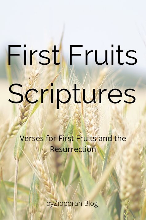 Firstfruits Feast, First Fruits Bible, Feast Of First Fruits, Torah Quotes, Melchizedek Priesthood, Leviticus 23, Celebration Church, Jewish Feasts, Biblical Feasts