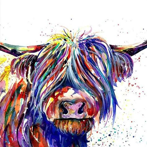 HKLIOPU Diy Paint by Numbers for Adults Beginner-Colorful Highland Cow Animal-Canvas Oil Painting Kit for Kids and Adults-Paint By Number Kits-11.8x11.8 Inch (Without Frame) : Amazon.co.uk: Toys & Games Highland Cow Painting, Pop Art Cat, Highland Cow Art, Highland Cow Canvas, Cow Canvas, Cow Painting, Hur Man Målar, Cow Art, Animal Canvas