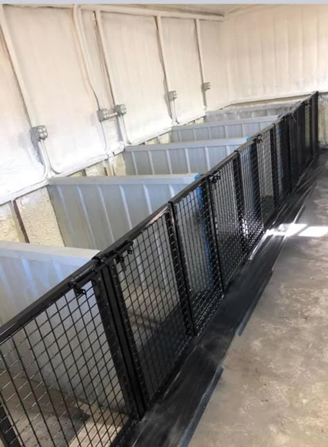 Dog Kennel Ideas Outdoor Diy Cheap, Commercial Dog Kennel Ideas, Dog Kennel Inside, Dog House Inside, Dog Daycare Design, Kennel Design, Dog Boarding Ideas, Building A Dog Kennel, Cheap Dog Kennels