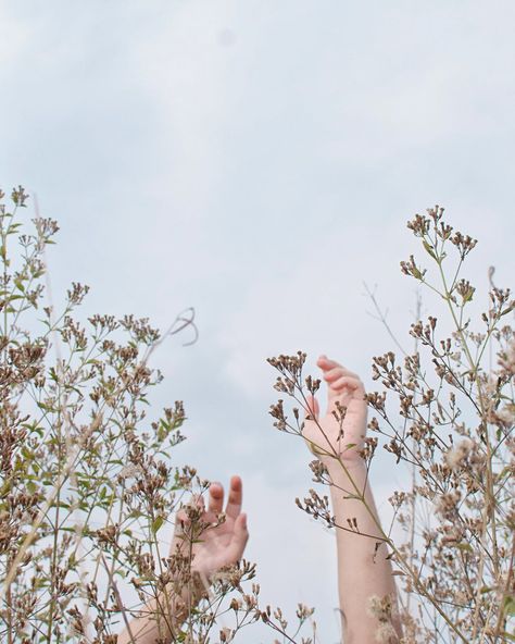 Up To The Sky, Sky Photos, Happy Memorial Day, Tree Canvas, Pranayama, Sustainable Brand, Social Responsibility, Pure Essential Oils, Photography Portfolio