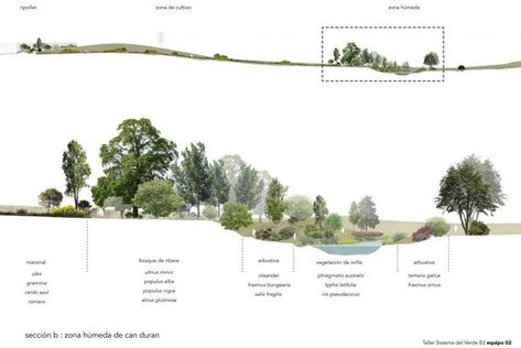 Landscape Architecture Poster, Landscape Architecture Diagram, Villa Architecture, Landscape Architecture Graphics, Easy Landscaping, Architecture Graphics, Architectural Section, Landscape Architecture Design, Architecture Poster