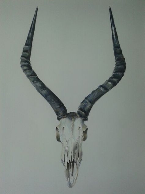 Antelope skull, dry pastel on fabriano paper by Wilna Botha Tattoo Ideas Traditional, Antelope Skull, Chris Tattoo, Skull Drawings, Dragon Bones, Skate Stickers, S Tattoos, Dry Pastel, Skull Drawing