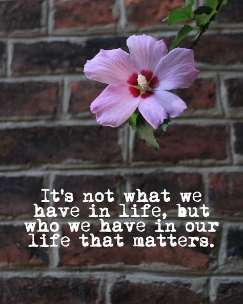 💕✨ Feeling grateful for the amazing people who bring joy and love into my life every day. Remember, it's all about the ones we have by our side! #Gratitude #Blessed #Love #FriendshipGoals #JoyfulMoments #CherishedMemories #PositiveVibesOnly #LoyalFriends #ChoosePositivity #CountYourBlessings #FamilyFirst Blessed With Good People Quotes, Bless Day Quotes, Grateful For The People In My Life, Thankful For The People In My Life, Love People Quotes, Grateful For Family, Good People Quotes, Community Quotes, Godly Wisdom