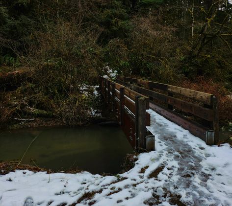 nature, greenery, trees, trail, hiking, explore, adventure, visit oregon, wanderlust, stream, creek, water, snow, frost, frozen, wooden bridge, landscape photography, winter vibes, seasons, muted, earth, moody, aesthetic Winter Camp Aesthetic, Washington Gothic, Pacific Northwest Gothic, Northern Aesthetic, Landscape Photography Winter, Pacific Northwest Aesthetic, Fic Inspiration, Oregon Aesthetic, Pnw Travel