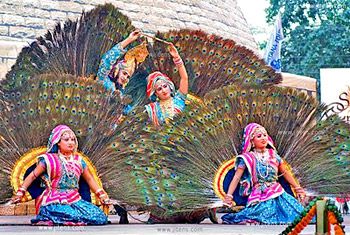 Surajkund Craft Fair Surajkund Mela, Peacock Dance, Dance Indian, Peacock Fashion, Dance Of India, Bhagavata Purana, The Bhagavad Gita, Peacock Costume, Peacock Motif