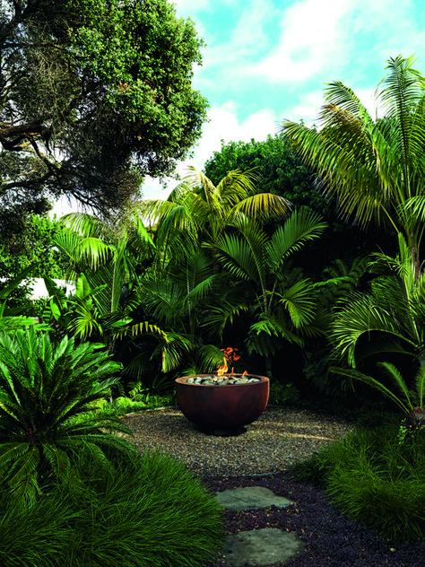 A tropical getaway garden in the heart of Auckland | Stuff.co.nz Hedges Landscaping, Tropical Gardening, Bbq Design, Tropical Backyard Landscaping, Deco Garden, Bali Garden, Tropical Landscape Design, Tropical Garden Design, Planting Design