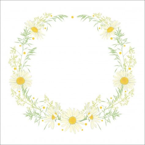 Hand drawn wreath with camomile and herb... | Premium Vector #Freepik #vector #frame #birthday #floral #flower Flower Wreath Illustration, Hand Drawn Wreath, Drawn Wreath, Daisy Background, Painted Window Art, Frame Birthday, Wreath Illustration, Happy Daisy, Floral Wedding Invitation Card