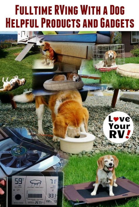 Rv Dog, Travel Trailer Living, Rving Full Time, Rv Camping Checklist, Rv Camping Tips, Rv Makeover, Trailer Living, Rv Living Full Time, Rv Hacks