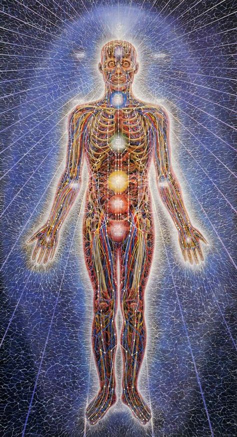 Chakra Alex Gray Art, Out Of Body Experience, Bolesti Chrbta, Alex Grey, Psy Art, Energy Medicine, Grey Art, Energy System, Visionary Art