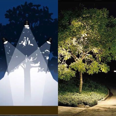 Here’s a look at the  landscape lighting effect you might want to try:  Moon Lighting This is an especially effective way of using lighting when you have larger trees in your space. The light source is placed high up in the tree aimed down, washing the branches and ground below in light. It creates an impressive effect when used with an open-branched tree. #landscape #gardendesign #hospitalitydesign Tree Landscape Lighting, Tree Up Lighting Landscape, Moon Light Fixture, Tree Uplighters Landscape Lighting, Uplit Trees Outdoor Lighting, Moonlighting Landscape Lighting, Moon Lighting, Outdoor Tree Lighting, Urban Light