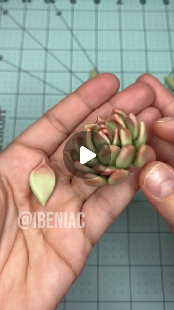 Fondant Succulents Tutorial, Cold Porcelain Tutorial, Egg Tart, Clay Tutorials, Cold Porcelain, Story Highlights, Dry Clay, Air Dry Clay, Tear Drop