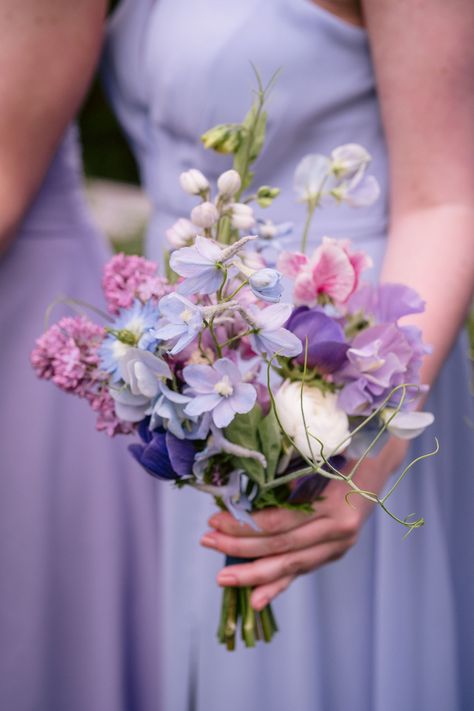 This sweet petite bridesmaids bouquet has Marianne Blue anemone, Streamers Chocolate Sweet Pea, Sky Blue BellaDonna Delphinium, Lavender Delphinium, Purple Lilac, White Ranunculus, andSweet Pea vine woven together in this spring June 3 wedding on Lake Sebago in Maine. Ombre wedding in pink purple and blue for bi flag.  Fresh spring farm-grown blooms Petunia Wedding Bouquet, Lupine Flowers Wedding, Blue Spring Bouquet, Blue Purple Bouquet Wedding, Lavender Pink And Blue Wedding, Pink Blue And Purple Wedding Theme, Purple Bouquets Wedding, Purple And Pink Wedding Flowers, Pink Blue And Purple Wedding