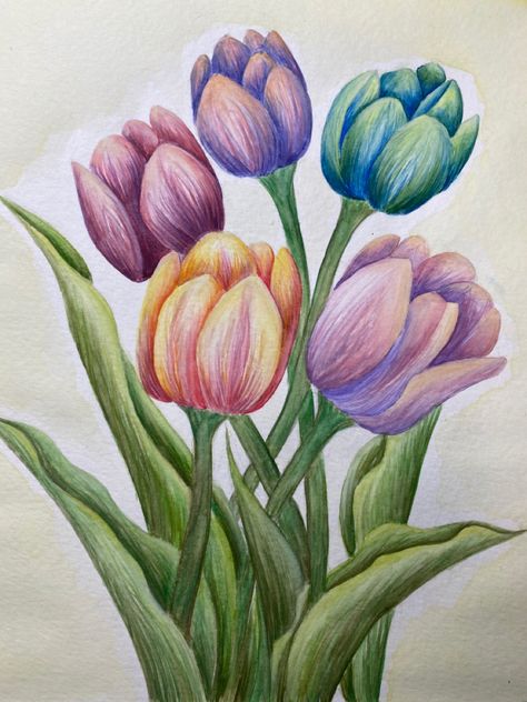 Colored Pencil Flowers Simple, Flower Pot Drawing With Colour, Coloured Pencil Flowers, Beautiful Flower Drawings Colour, Realistic Flower Drawing Color, Flower Drawing Inspiration, Simple Color Pencil Drawing Ideas, Color Pencil Art Drawings Easy, Flower Drawing With Color