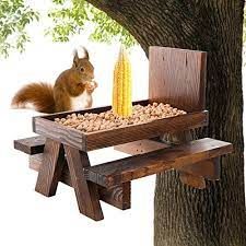 Squirrel Picnic Table Feeder Plans, Squerril Feeder, Squirrel Feeder Picnic Table, Squrriel Feeder Ideas Diy, Squrriel Feeder, Squirrel Bench, Diy Squirrel Feeder, Outhouse Birdhouse, Squirrel Picnic Table Feeder