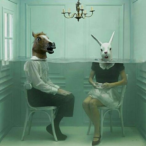 @ilovebykimberley Art Bizarre, رعب نفسي, Surrealism Photography, Conceptual Photography, Animal Heads, Weird Art, 영감을 주는 캐릭터, Underwater Photography, Pics Art