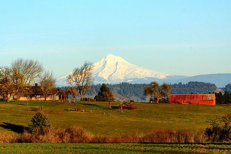 Rural Oregon Farm Rural Oregon, Oregon Farm, Eliot Waugh, Upland California, Farm Aesthetic, America Photo, Oregon Life, Snow Capped Mountains, Beautiful Oregon