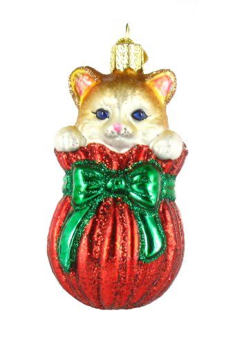 $10.24 *** Check out this great product. (This is an affiliate link) #HomeDcorAccents Ornaments For Christmas Tree, Old World Christmas Ornaments, Designer Names, Ornaments For Christmas, Santa Paws, Christmas Lovers, Glass Christmas Tree Ornaments, Old World Christmas, Glass Christmas Tree