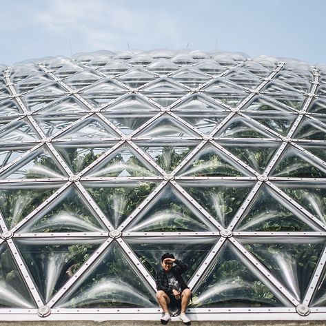 Bloedel Conservatory - Vancouver Bloedel Conservatory, Vancouver, Louvre, Building, Travel, Instagram