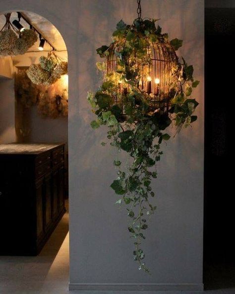 Bird Cage Decor, Deco Nature, House Plants Decor, Dream House Decor, Aesthetic Room Decor, Plant Decor, Bedroom Makeover, Home Deco, Apartment Decor