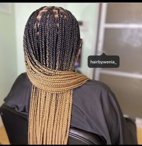 #knotlessboxbraids #boxbraids #braids #blackhairstyles Knot Less Braids, Single Plaits, Girls Hairstyles Braids, Work Hairstyles, Hairstyles Braids, Braids For Black Hair, Plaits, Box Braids, Locs