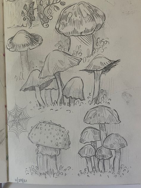 Mushroom Sketch, Arte Punk, Cute Sketches, Cute Doodle Art, Mushroom Art, Art Drawings Sketches Creative, Sketch Painting, Arte Animal, Hand Art Drawing