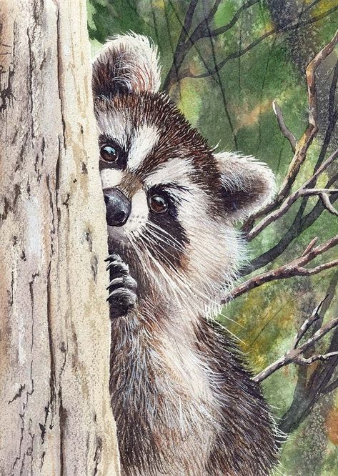 Raccoon Art, Animals Watercolor, Wildlife Paintings, Arte Animal, Woodland Creatures, Rodents, Watercolor Animals, Wildlife Art, Animal Photo